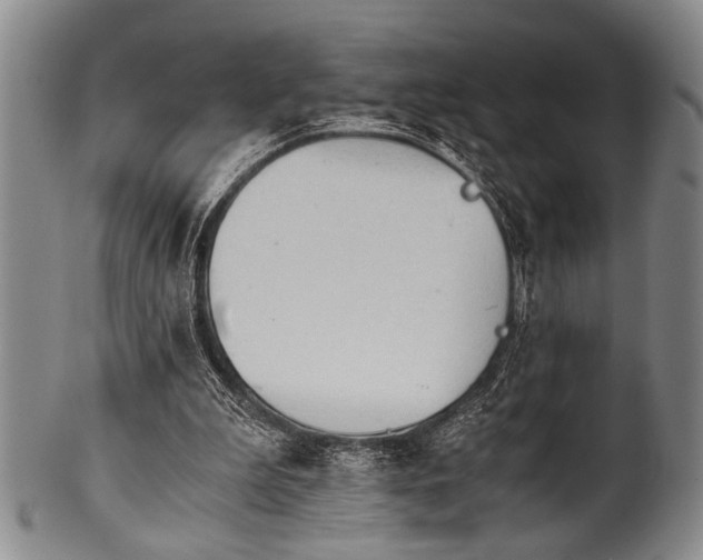 X0000101110199200806261420