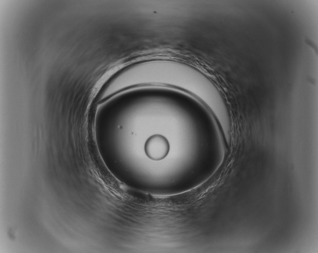 X0000101110200200806261420