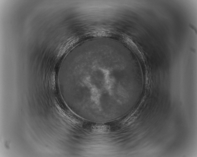 X0000101110202200806261420