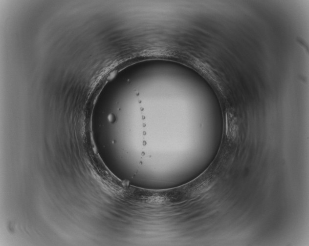 X0000101110204200806261420