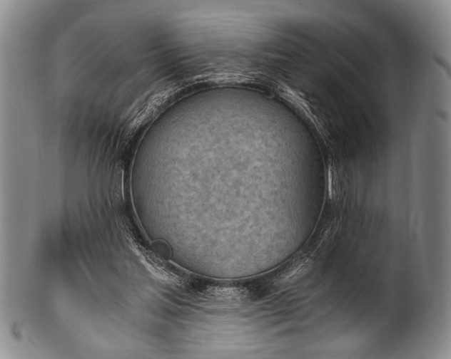 X0000101110205200806261420