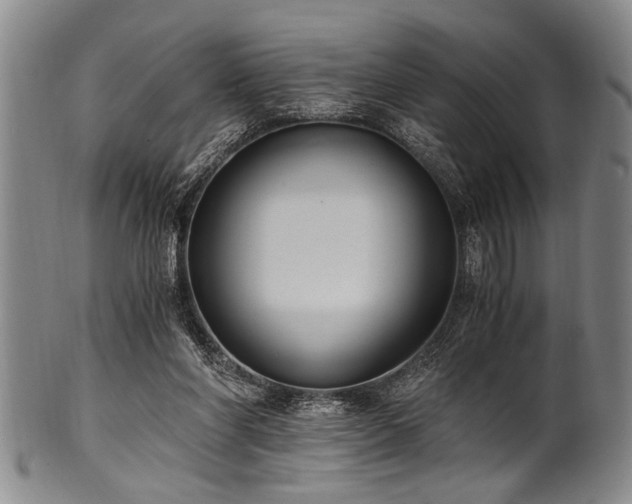 X0000101110206200806261420