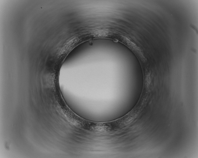 X0000101110209200806261420