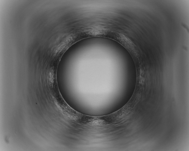 X0000101110210200806261420