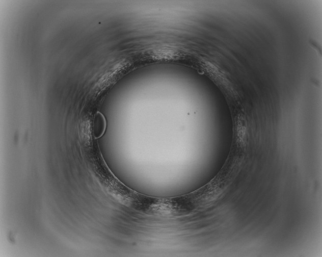 X0000101110211200806261420