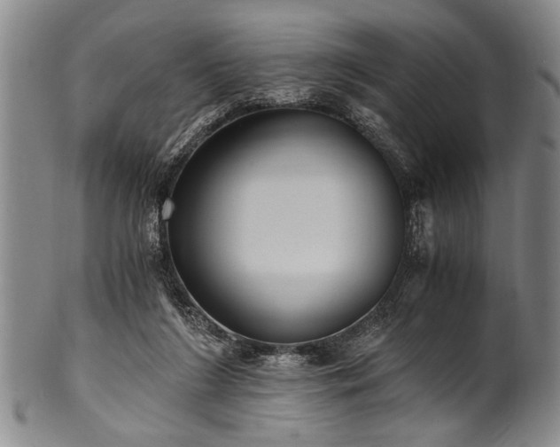 X0000101110212200806261420