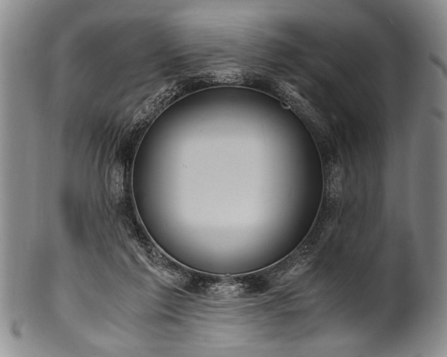 X0000101110213200806261420