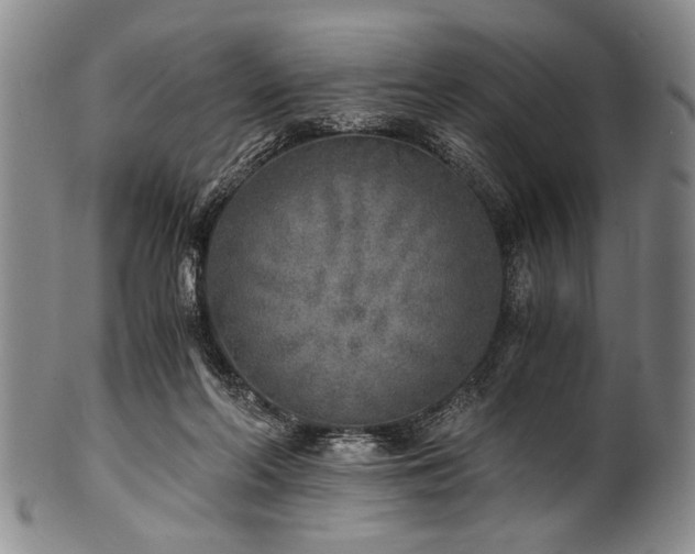 X0000101110214200806261420