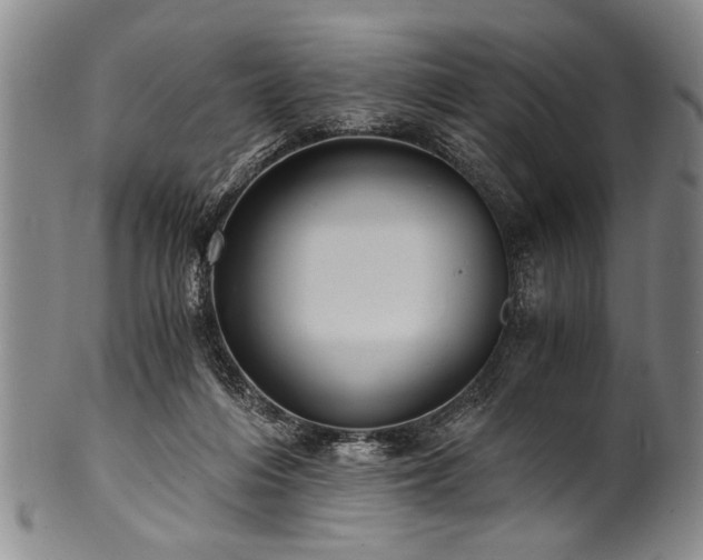 X0000101110216200806261420