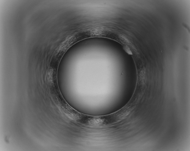X0000101110217200806261420