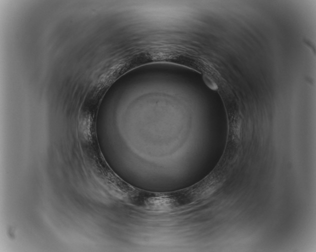 X0000101110219200806261420