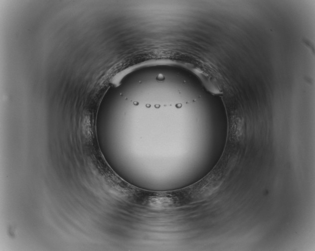 X0000101110220200806261420