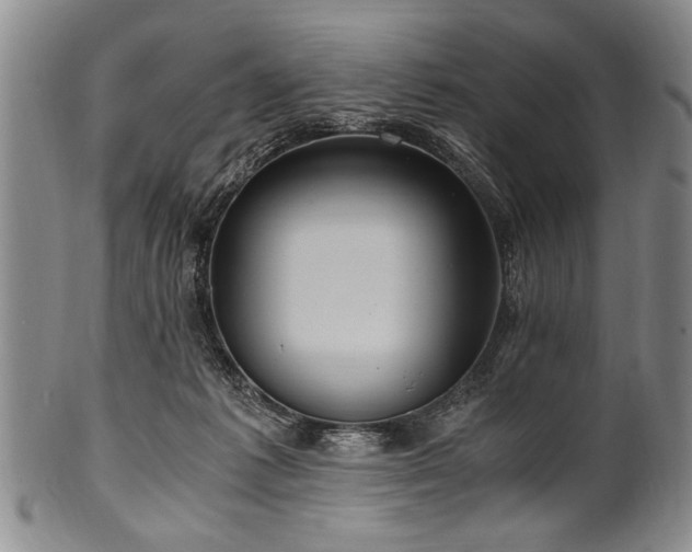 X0000101110221200806261420