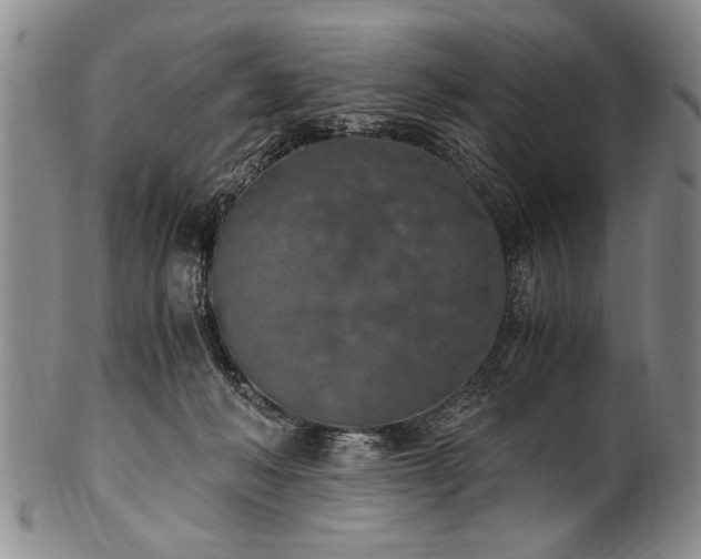 X0000101110222200806261420