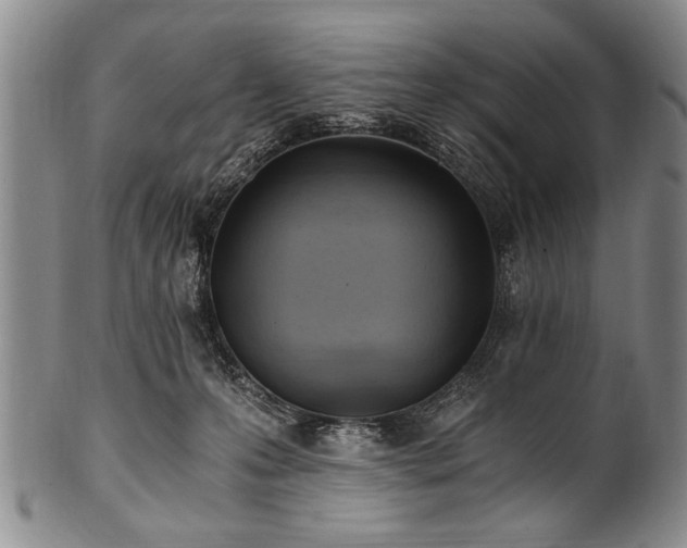 X0000101110223200806261420