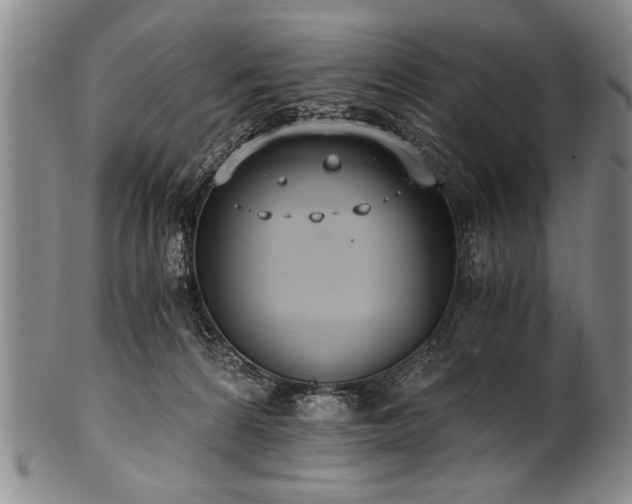 X0000101110224200806261420