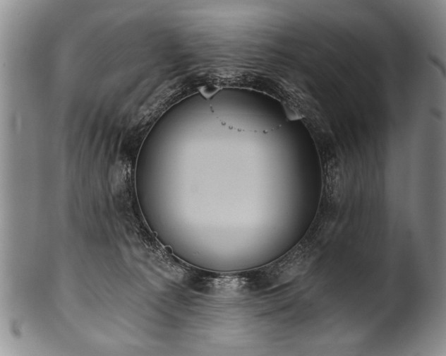 X0000101110225200806261420