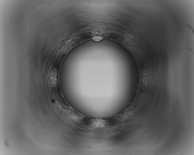 X0000101110226200806261420