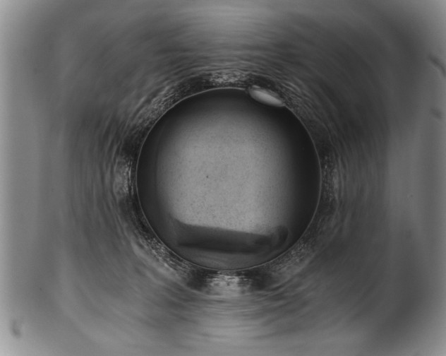 X0000101110227200806261420