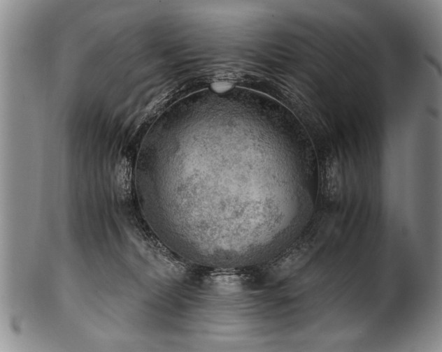 X0000101110228200806261420