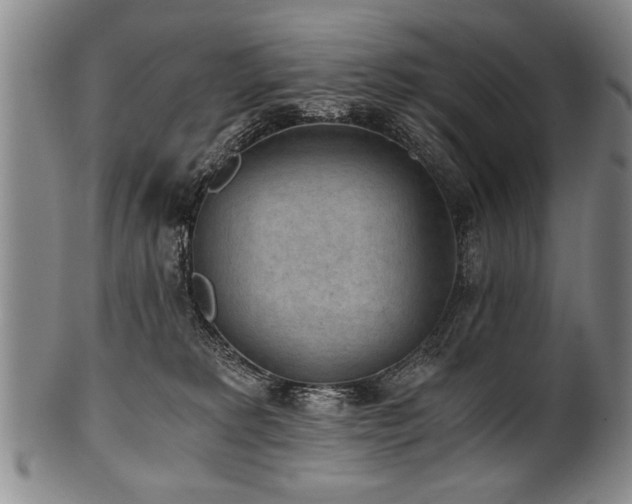 X0000101110229200806261420