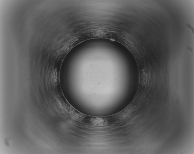 X0000101110230200806261420