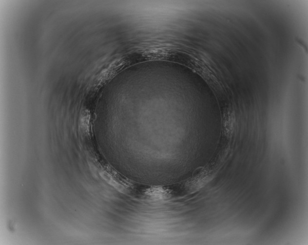 X0000101110231200806261420