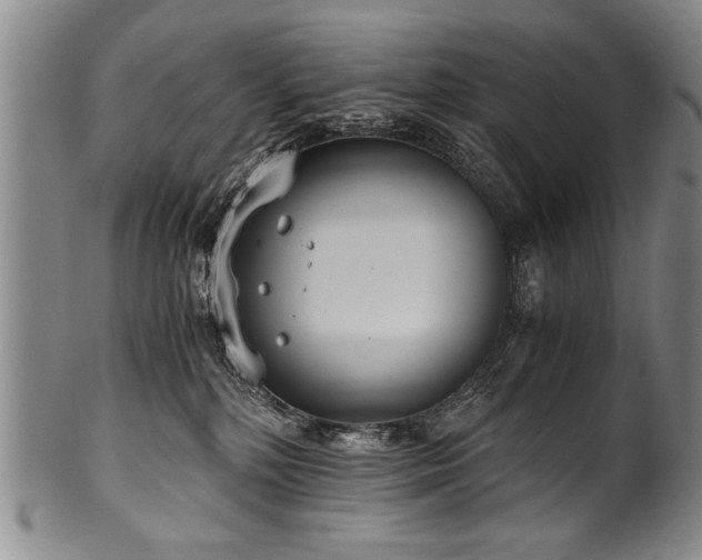X0000101110232200806261420
