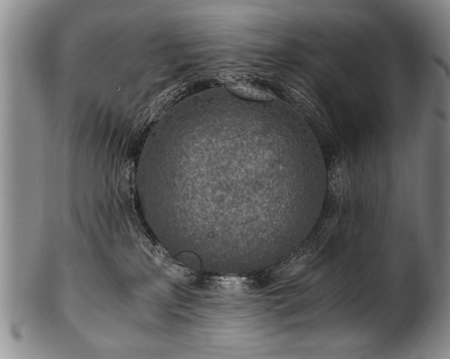 X0000101110233200806261420