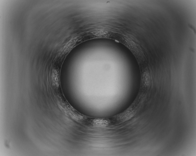 X0000101110234200806261420