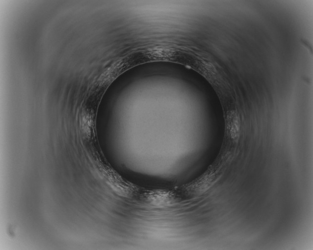 X0000101110235200806261420