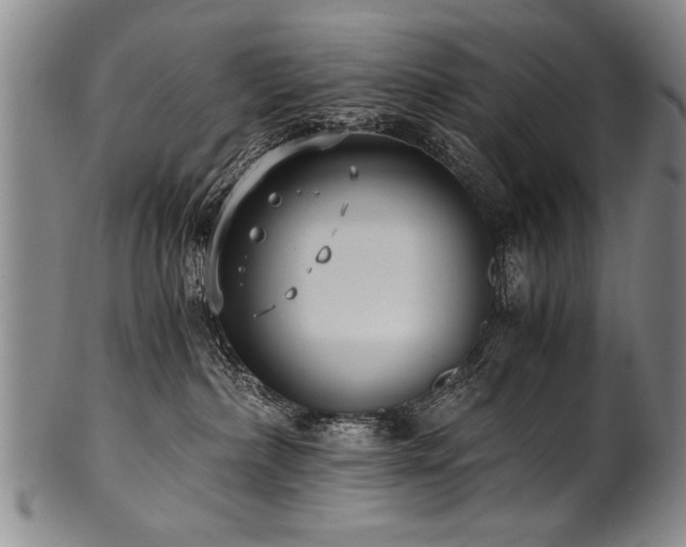 X0000101110236200806261420