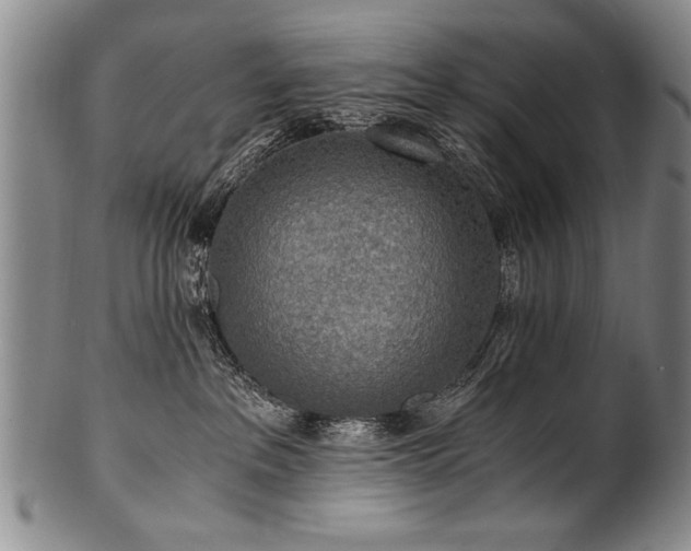 X0000101110237200806261420