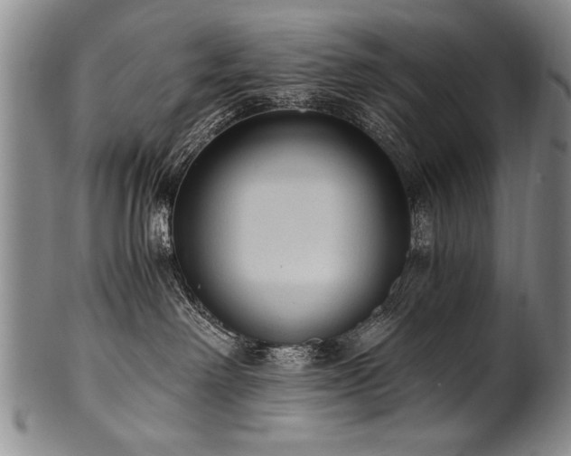 X0000101110238200806261420