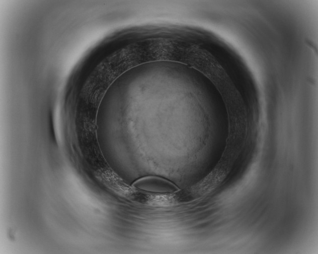 X0000101110239200806261420