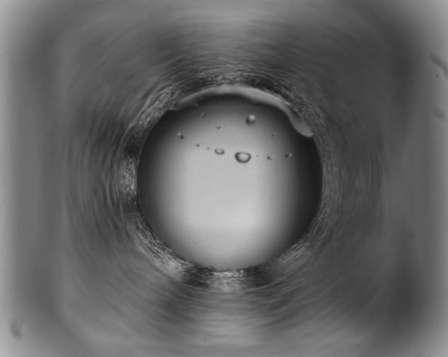 X0000101110240200806261420