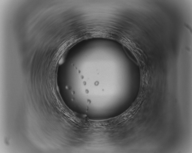 X0000101110241200806261419