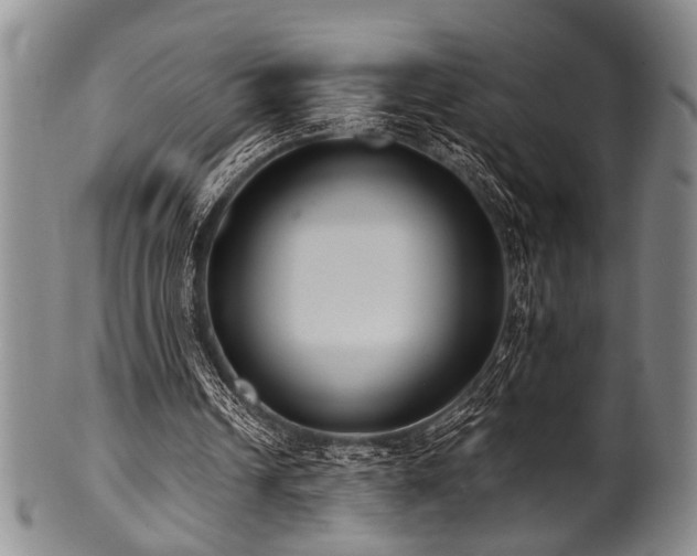 X0000101110242200806261419