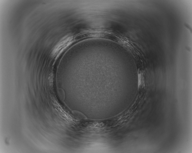X0000101110243200806261419