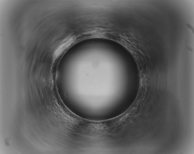 X0000101110245200806261419