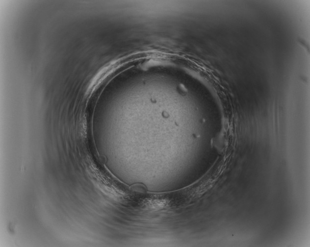 X0000101110247200806261419