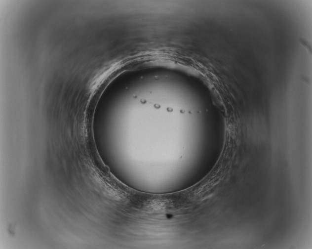 X0000101110248200806261419