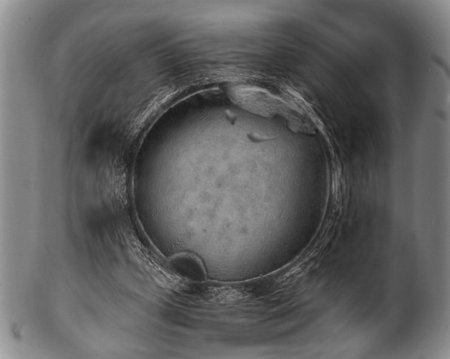 X0000101110249200806261419