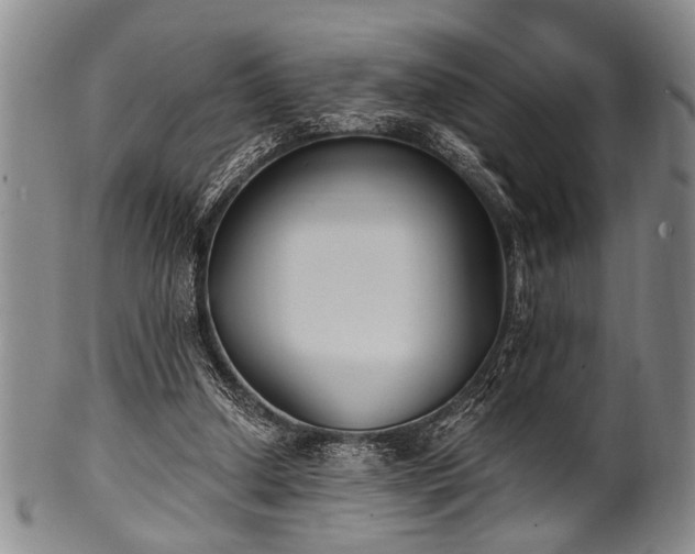 X0000101110250200806261419
