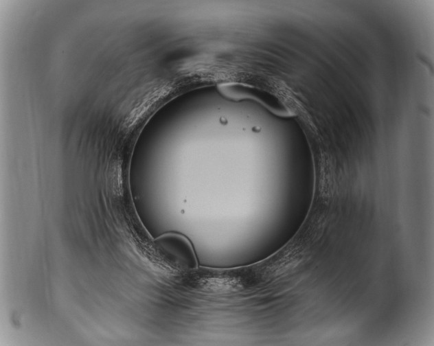 X0000101110251200806261419