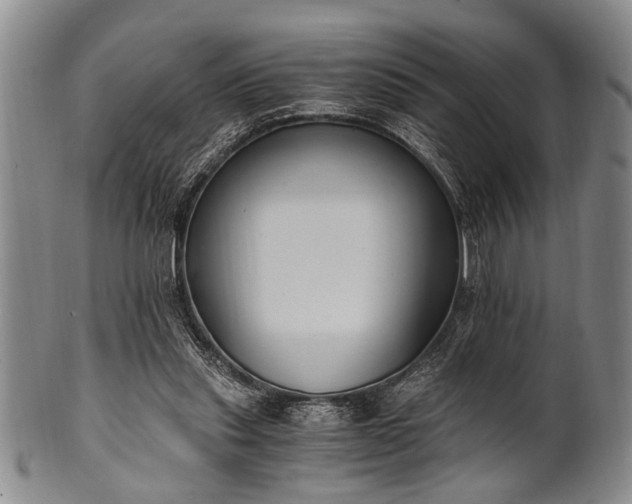 X0000101110253200806261419