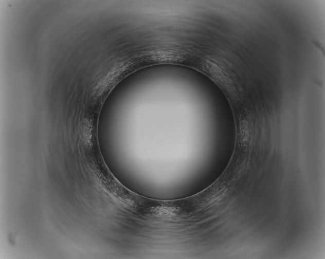 X0000101110255200806261419