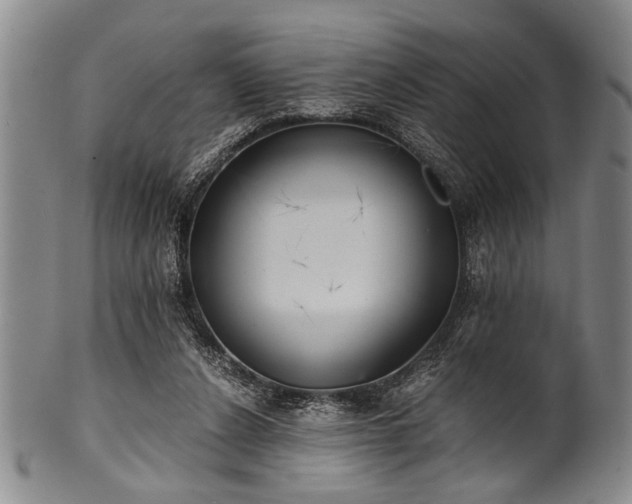 X0000101110256200806261419