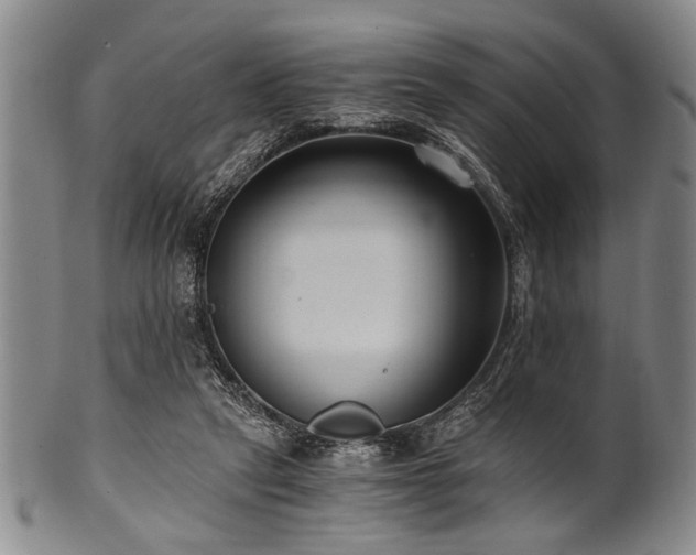X0000101110257200806261419