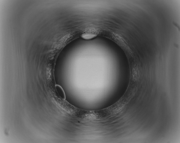 X0000101110259200806261419